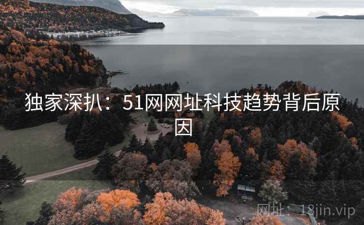 独家深扒：51网网址科技趋势背后原因
