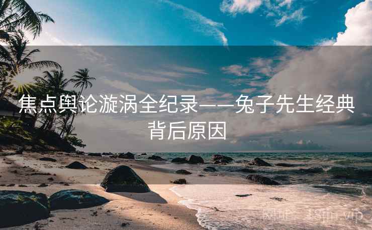 焦点舆论漩涡全纪录——兔子先生经典背后原因