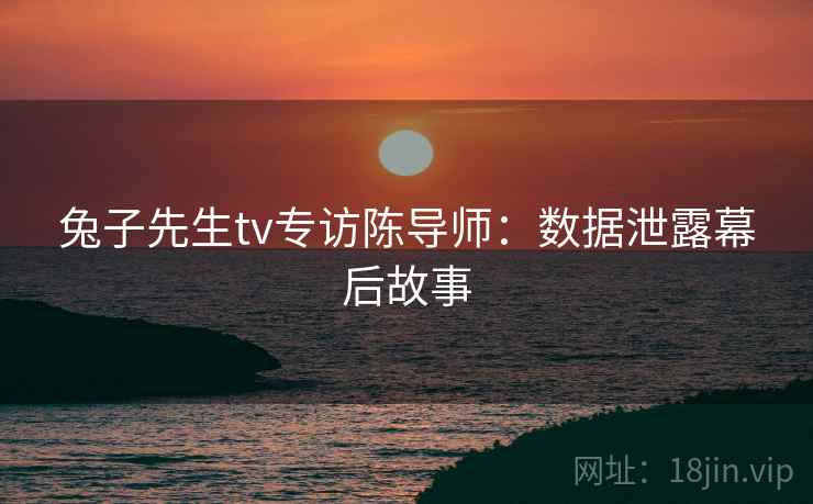 兔子先生tv专访陈导师：数据泄露幕后故事